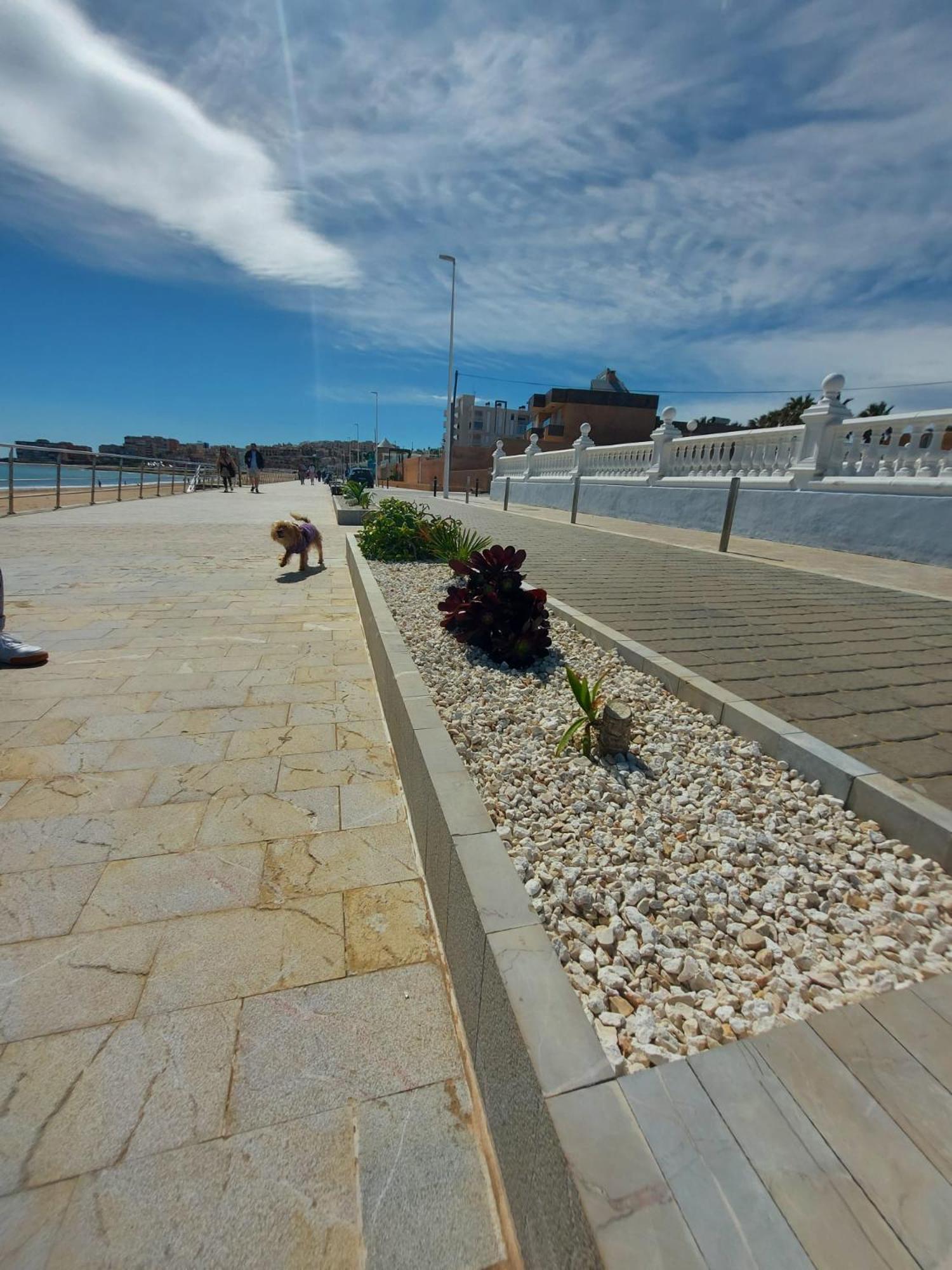 Maravillosa Terraza Con Vistas Al Mar, La Mata Appartement Torrevieja