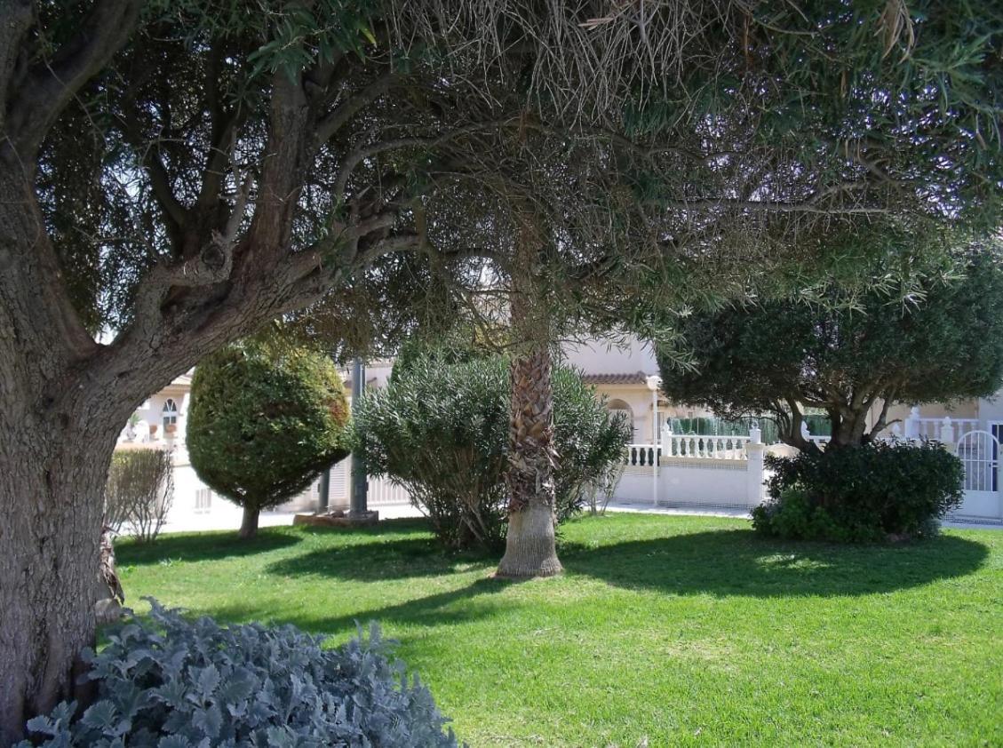 Maravillosa Terraza Con Vistas Al Mar, La Mata Appartement *
